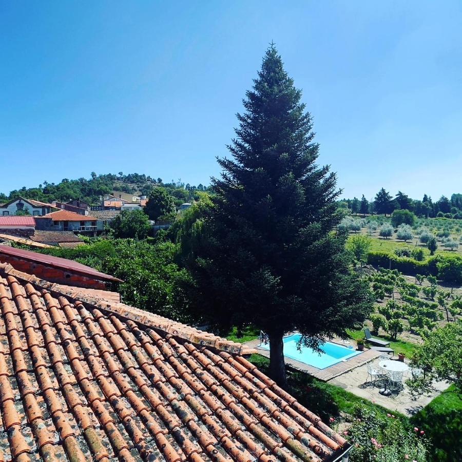 Casa Do Beco B&B Douro - Guest House Parambos Eksteriør bilde
