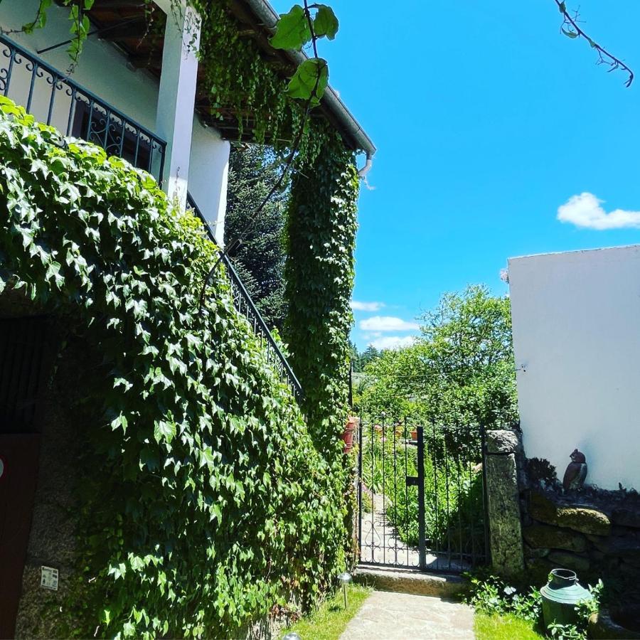 Casa Do Beco B&B Douro - Guest House Parambos Eksteriør bilde